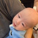 아기 배냇머리 미는 시기 산본 버블스토리 미용 후기