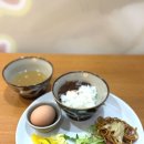 피노호텔 자판기 | 오사카 호텔 숙소 추천 가성비 베스트웨스턴 피노 신사이바시 이벤트