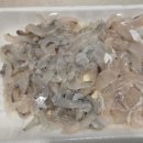 구룡포산오징어회식당 | 포항 구룡포시장 모리수산, 쥐치·도다리·산오징어 회 포장 후기