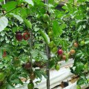 한창농장 이미지