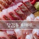 닥스치킨 이미지