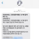 트리피카 네이버블로그