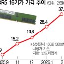 DDR5 16GB 價格 이미지