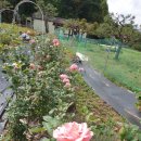 해피농장 이미지