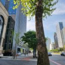 메이커스부동산중개 이미지