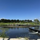 옐로우박스 | 장성 황룡강 애견동반 대형카페 아이와 가볼만한곳 옐로우박스