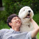 펫코노미 이미지