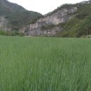 대촌마을(덕우리) 이미지