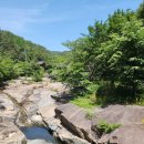 태평사 | [곡성/사찰] 📿 곡성 도림사 방문기: 천년 가람에서 만난 여름 숲속절경