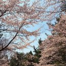 대천공원3호 | 부산 장산 등산코스 대천공원 원점회귀