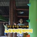 키카레포츠