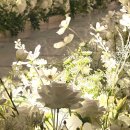 웨딩 플로체 | [회기] 서울 벨라루체웨딩 플로체홀 하객후기 atm 연회장 밥 맛있는 웨딩홀