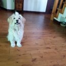 뽑기 오빠 이미지