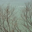 남원추어탕민박 이미지