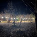 양양고인돌캠프 이미지