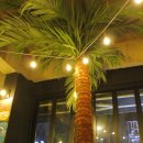 빅대디치킨 신대점 이미지