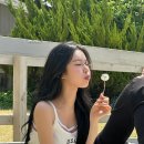 백지헌 카카오 검색결과