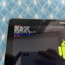 럭키가이 이미지