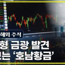 금광지질