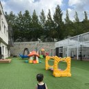 204 풀빌라 | 23개월,16개월 두가족이 함께 간 꼬모키즈풀빌라 B동 204호 - 내돈내산후기