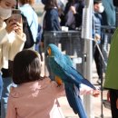서산버드랜드사업소 이미지
