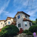 엔젤 식물원 이미지