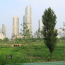 도시숲 산책길 이미지
