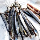 구룡포 과메기 이미지