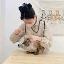 미야옹실 | 영등포 마포구 동작구 고양이 무마취 미용 + 천연 스파 목욕 샴믹스 샤미 (미야옹실 찐 후기)