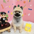 토브 펫 살롱 이미지