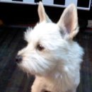 사당시장 이미지