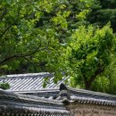 의령 덕교리 강씨고가 이미지