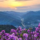 봉화산 Daum카페