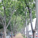 달서천 자전거대여소 이미지