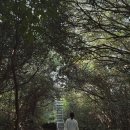 마일랑관광펜션 | 제주 한경면 청수리 펜션 <비마이아일> 숙소에서 시작한 가족여행 코스!