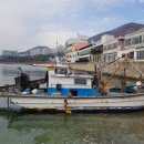 경북해양수산 행정사사무소 | 어장정화사업 - 어장관리법 어촌계