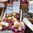 후암신발