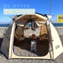 겨울여행 티스토리
