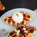 뚱뚱한크로플 이미지