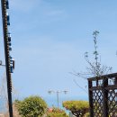 인펜션 | 친구들이랑 모임으로 다녀온 여수펜션 여수 폴링인블루 펜션 F4 객실 후기