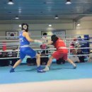 화랑 (권투) 이미지