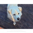 개편한집 이미지