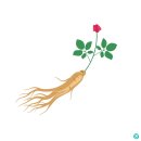 풍기인삼홍삼상점가 이미지