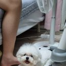 유인어스펜션 이미지