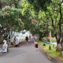 해변 낚시 마트 이미지