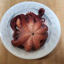 고바우낚시 이미지
