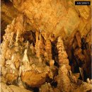 동강백운산...하절기 특별산행(백룡동굴 탐방,동강 할미꽃 자생지 탐방,특산물..송어회) 이미지