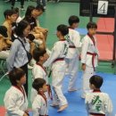 사계절푸른솔태권도 이미지