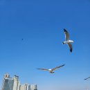 혜성공인중개사사무소 이미지