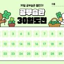 영어공부